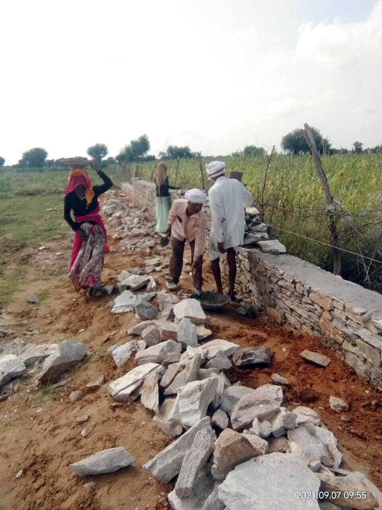 Workers building a stone boundary wall along the site edge, Ralawata